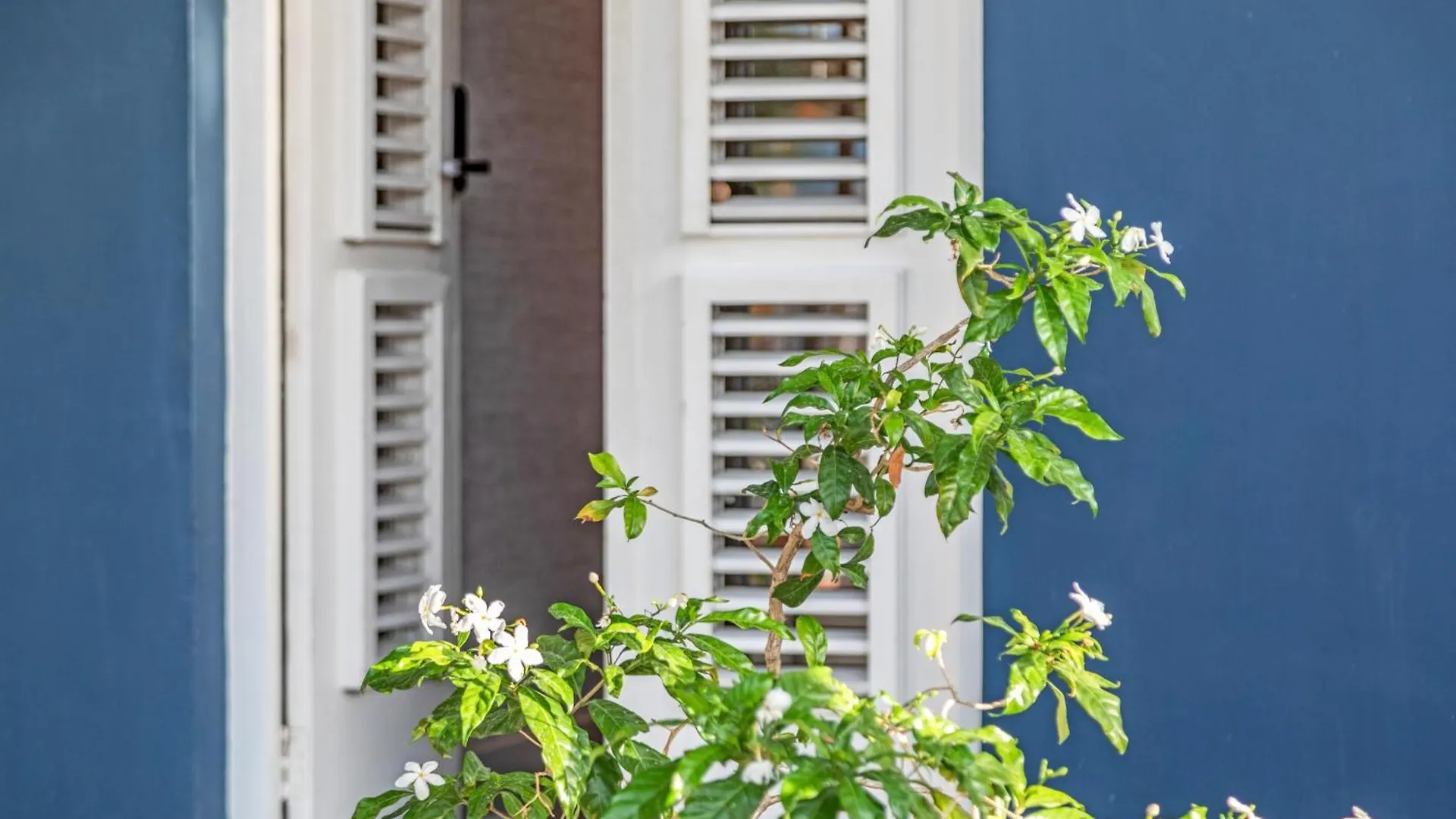 City Apartment 0*, Willemstad Curacao