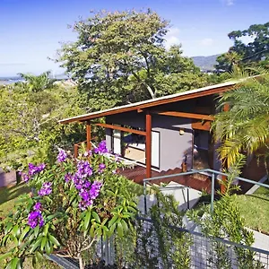 studio-altos-da-igrejinha.santa-catarina-brasil.com/