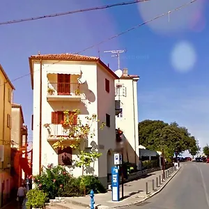 Studio Katalpa Apartment Zadar